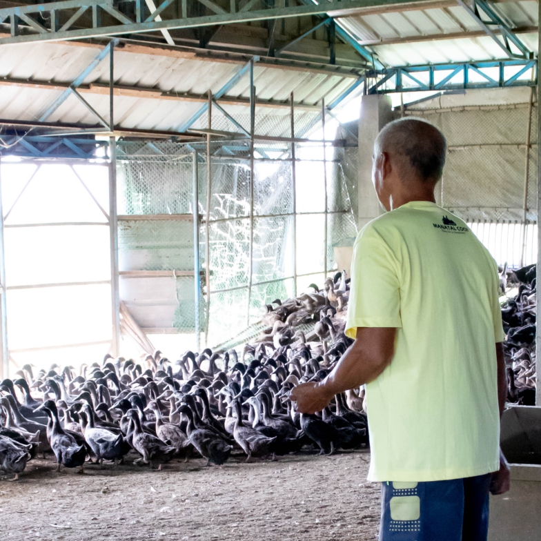 Agri-Business Loan
